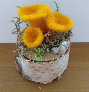 116 Яцкевич Вероника